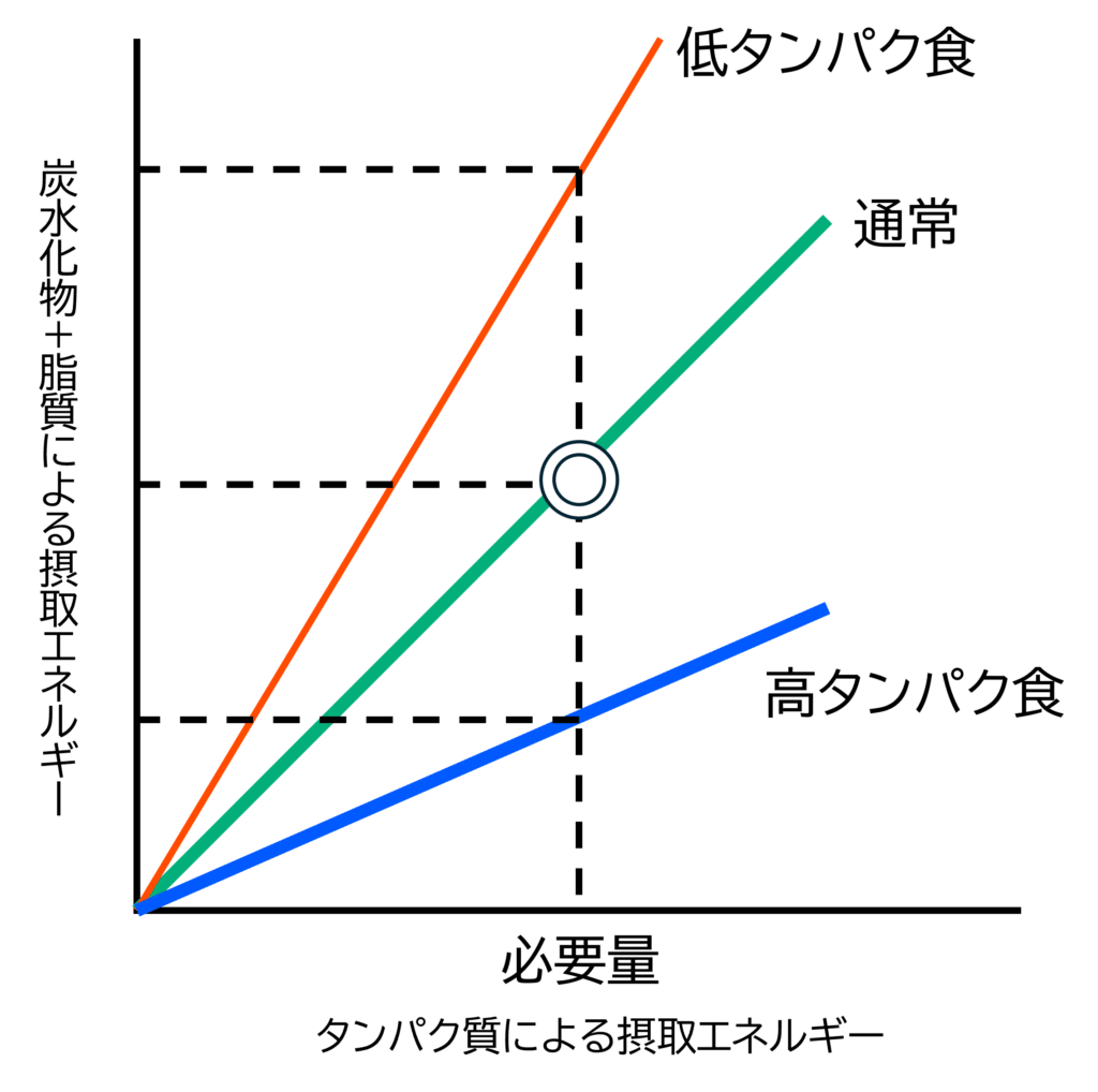 必要なタンパク質量を優先して満たす仮説。タンパク質の少ない食事は、タンパク質量を満たすために炭水化物と脂質を摂りすぎてしまう。